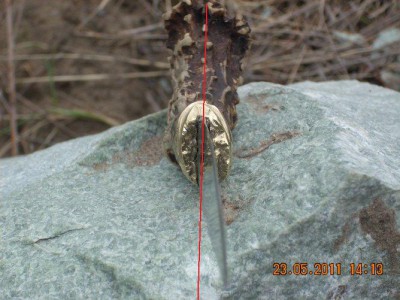 DSCN1724.jpg