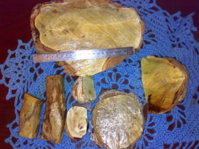 24052011101.jpg