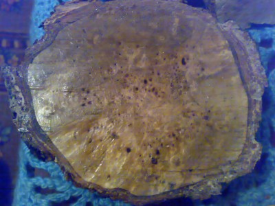 24052011104.jpg