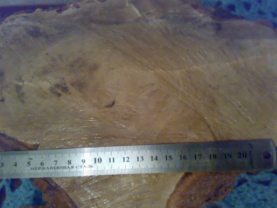 24052011106.jpg