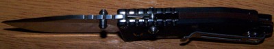 100_2396.jpg