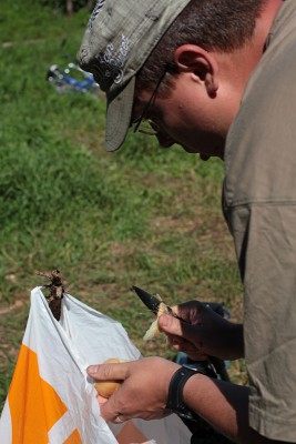 IMG_0805.jpg