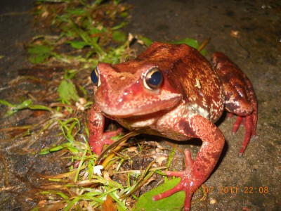 DSCN0725.JPG