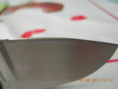 DSCN0832.JPG