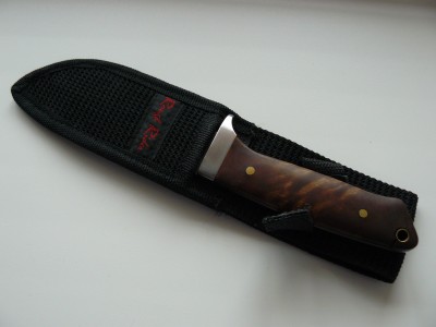 case1.jpg