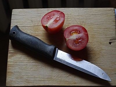 z_d549f7e4.jpg