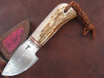 z_e28d57d3_thumb.jpg