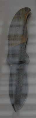 z_37c0cf6a.jpg