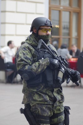 z_8581fc79.jpg