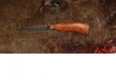 Безымянный.jpg