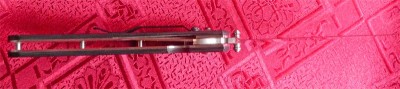 Shrike 6.jpg