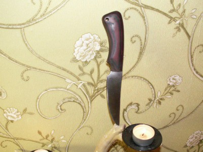 PICT0337.JPG