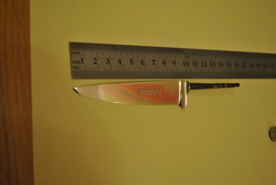 DSC_0394.JPG