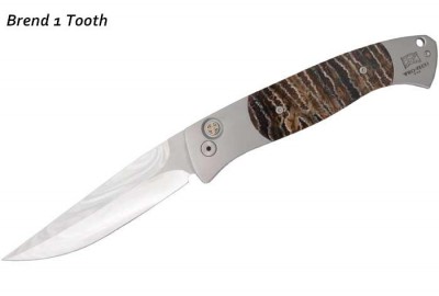 Brend-1-tooth-large.jpg