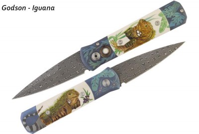 iguana.jpg