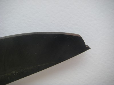 IMGP0017.JPG