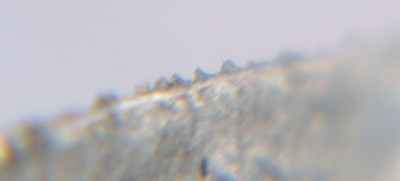 rSV400006.jpg