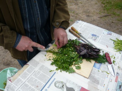 P1100027.JPG