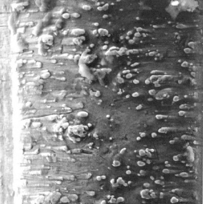 1595705.jpg
