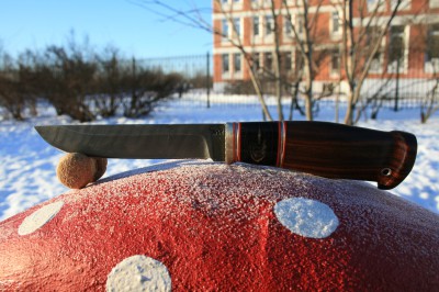 IMG_6839.JPG