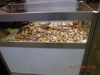 DSCN5295.jpg