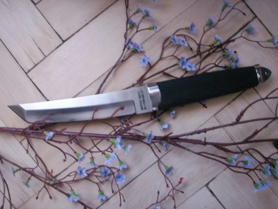PICT0009.JPG