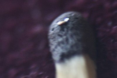 _SAS9963.jpg