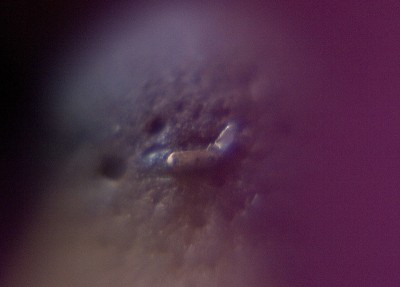 _SAS9965.jpg