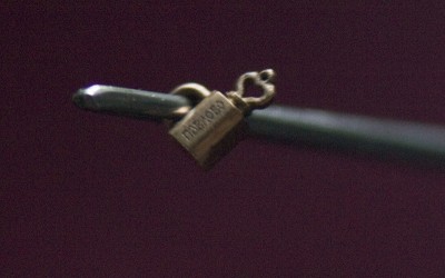 _SAS9960.jpg