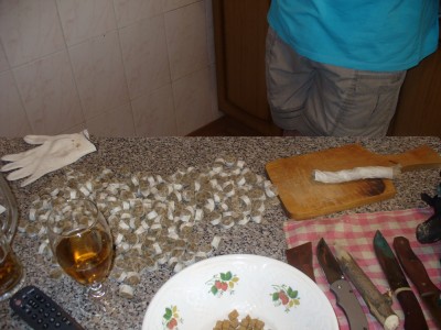 P1050729.jpg