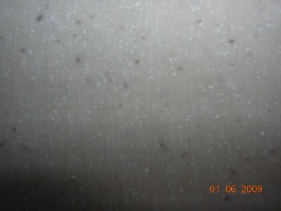 DSCN1316.JPG