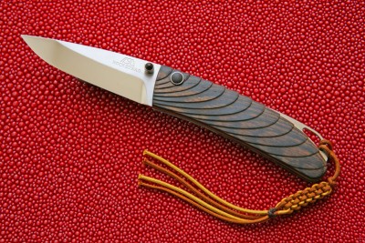 rc-nasvll-500.jpg