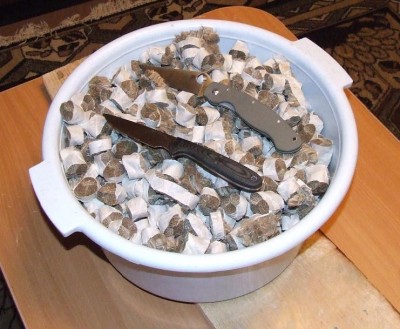 15.JPG